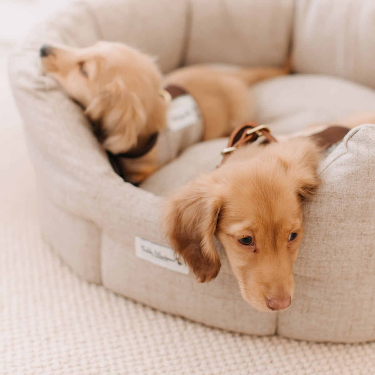 'The Richmond' Deco Nest Luxury Dog Bed