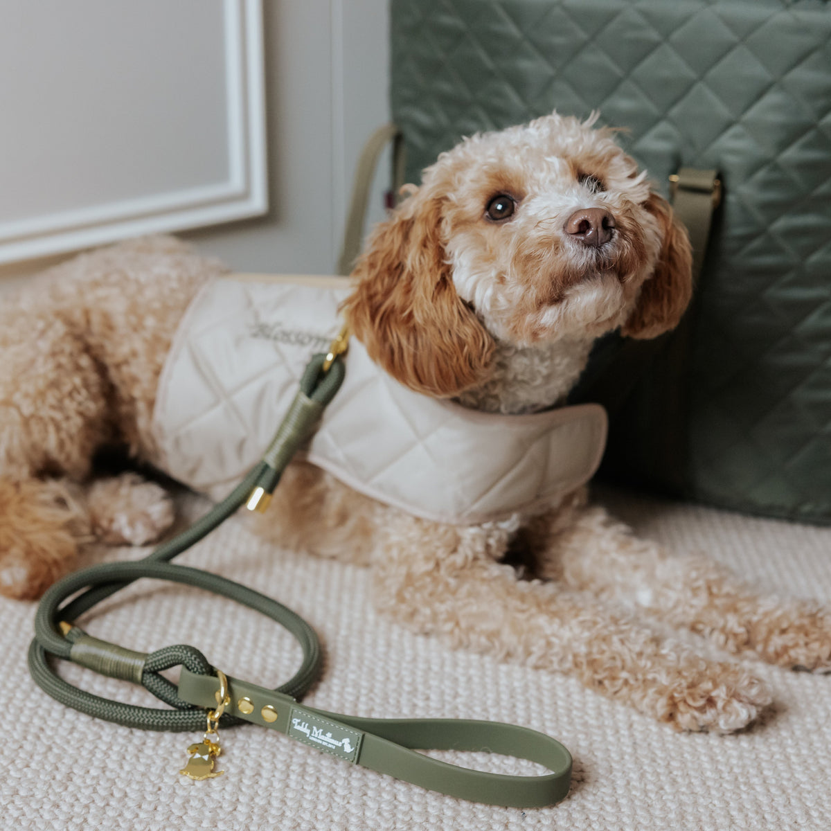 NEW! The Chelsea Champagne Quilted Dog Harness