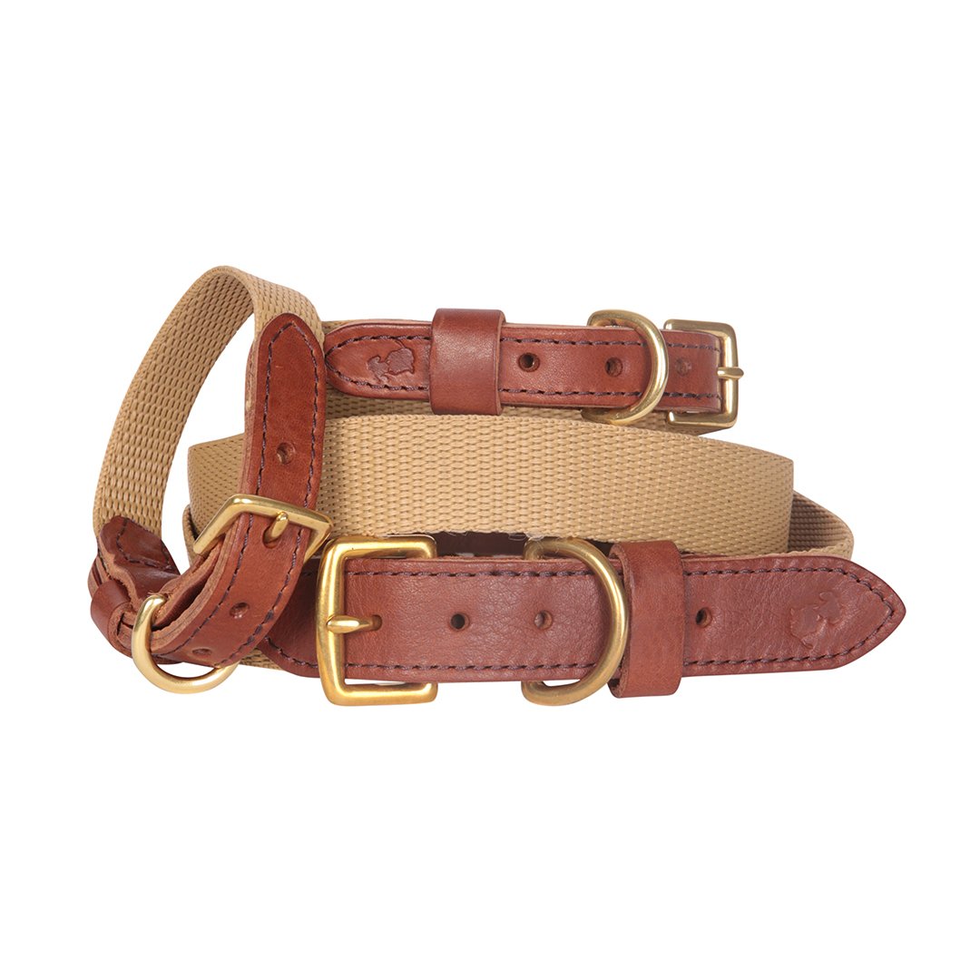 'The Richmond' Softgrain Tan Collar