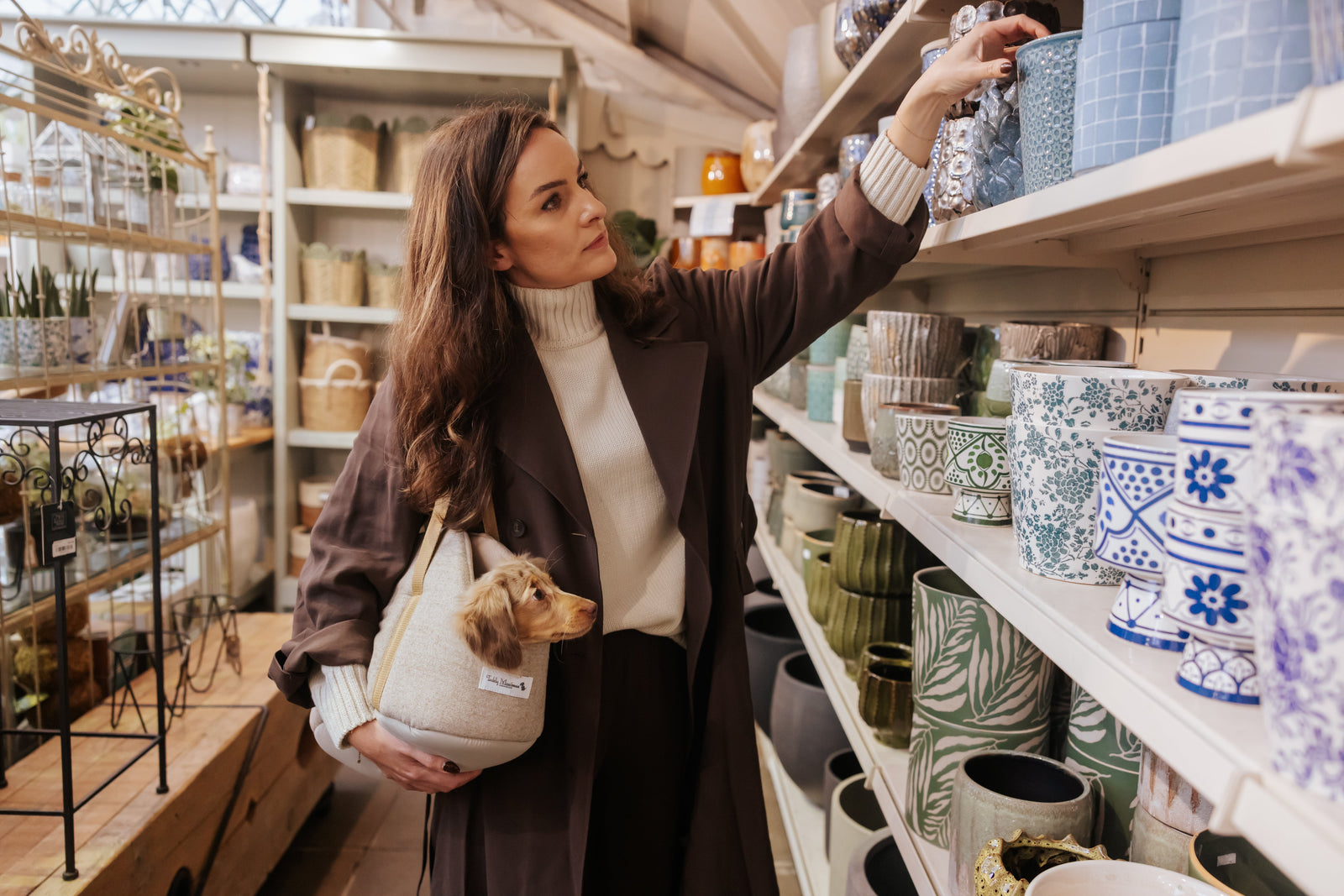 Woman shopping in a store with shelves filled with ceramic items with her small dachshund in a Teddy Maximus dog carrier.