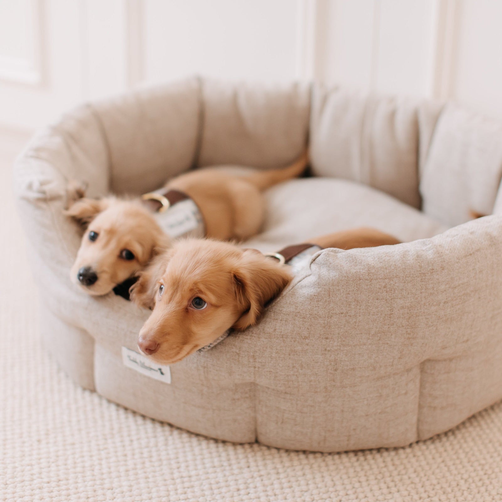 'The Richmond' Deco Nest Luxury Oval Dog Bed