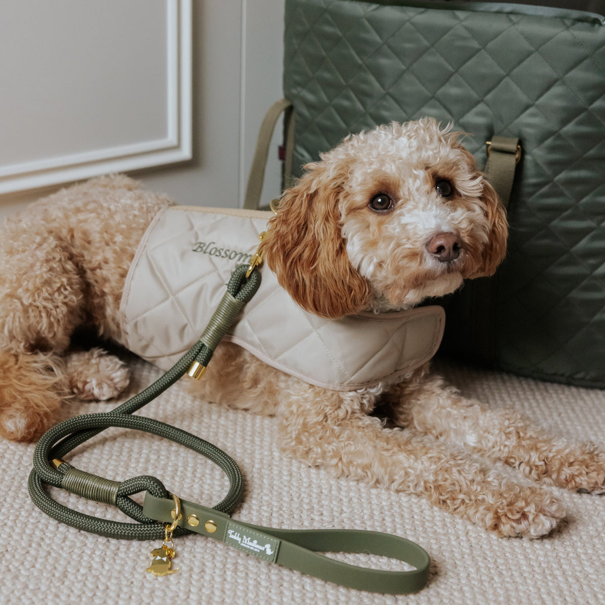 NEW! The Chelsea Champagne Quilted Dog Harness