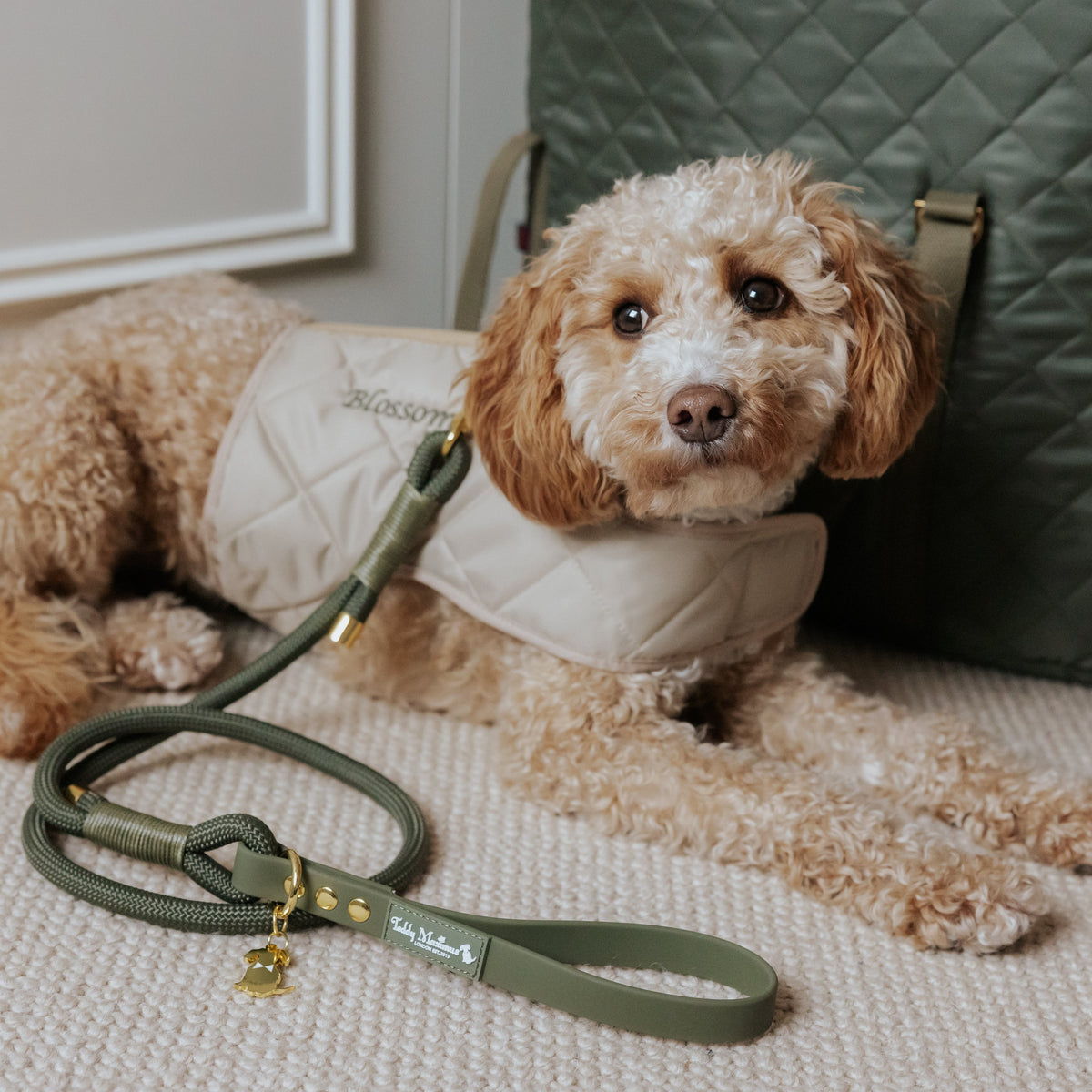 NEW! The Chelsea Champagne Quilted Dog Harness