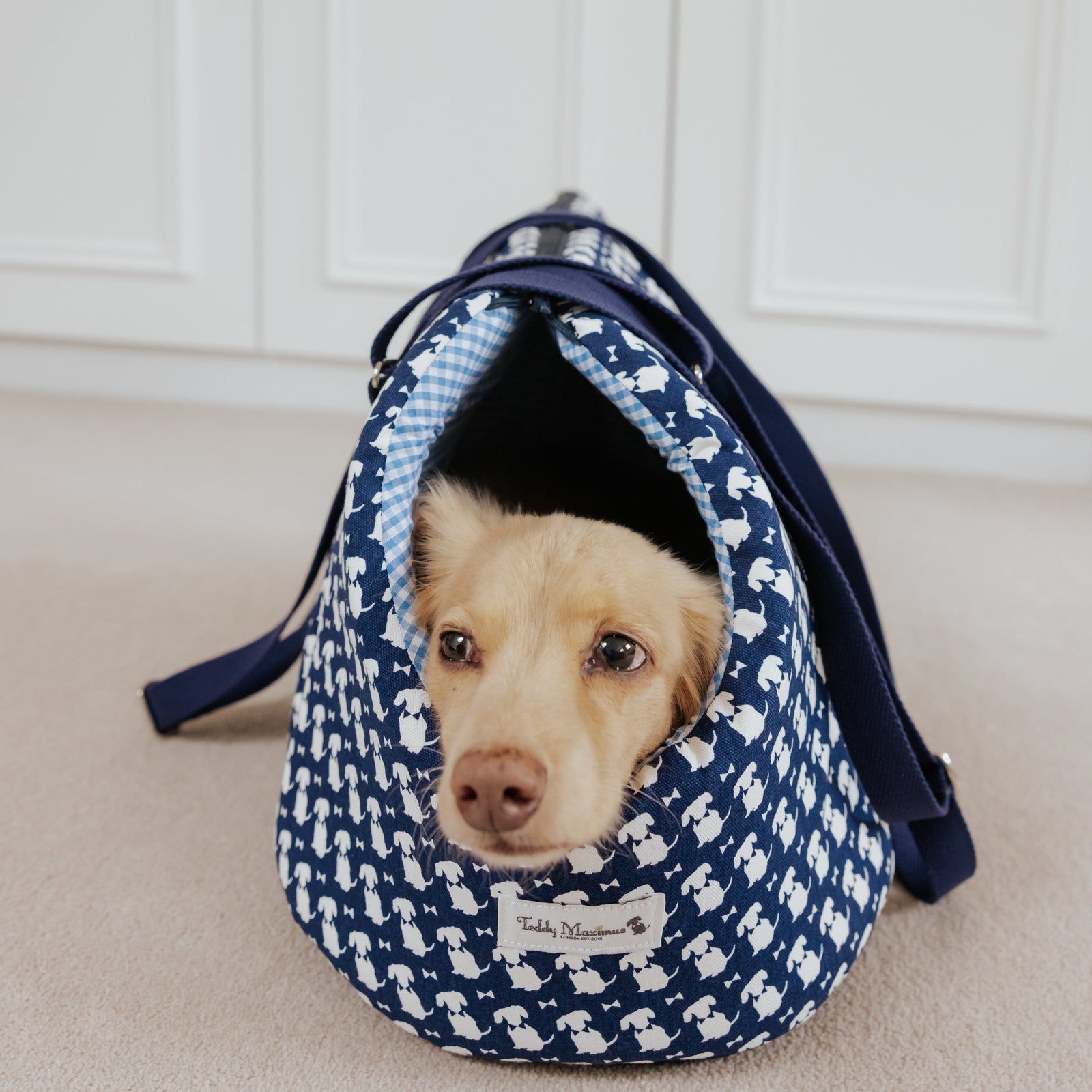 Signature Print Limited Edition Dog Carrier