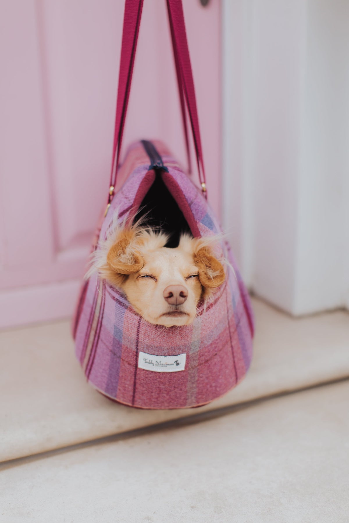 Pink Sheltie Adjustable Plaid Dog Carrier