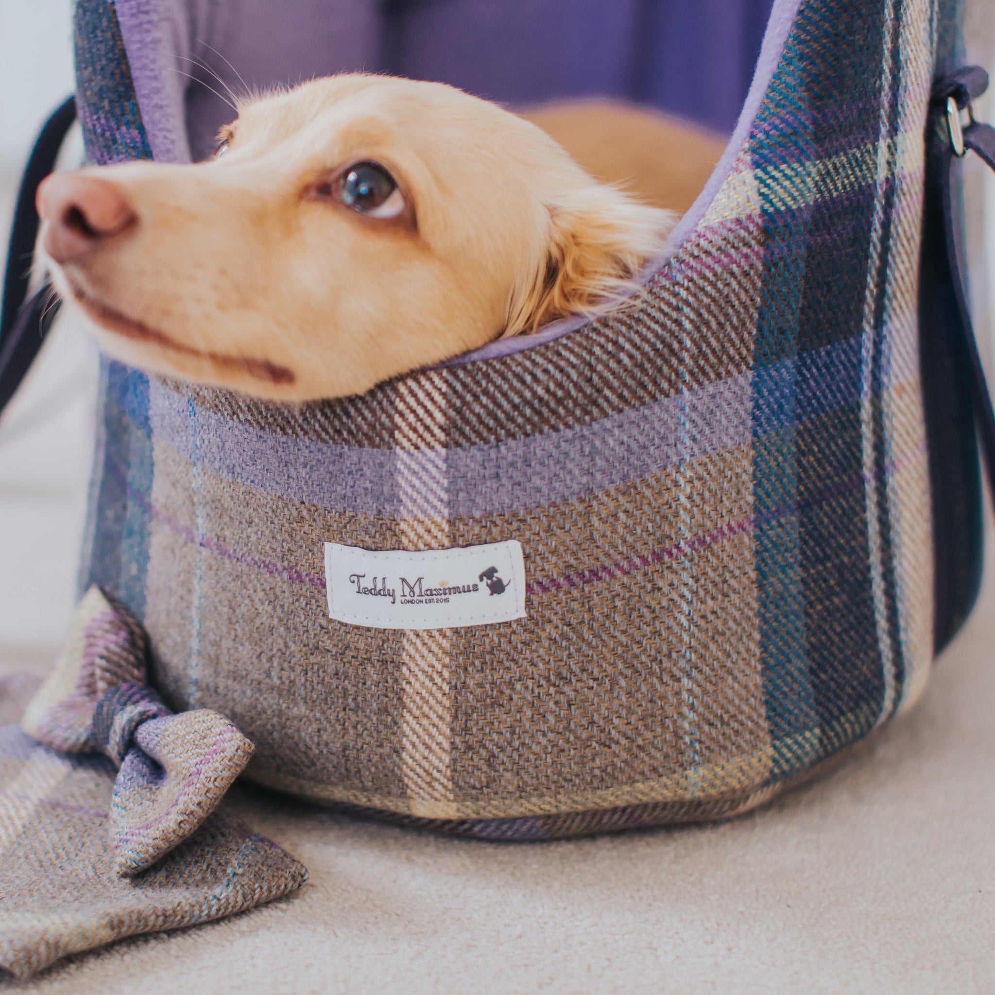 teddy maximus dog carrier