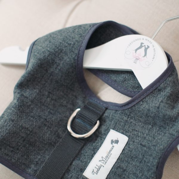 "詹姆斯" 木炭灰狗线束