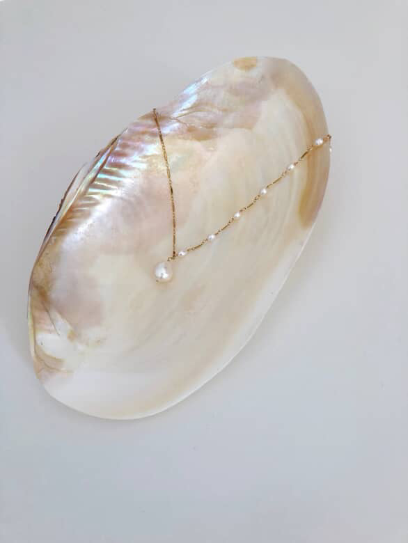 🐾 Pearls and Pups: Our Exciting Collaboration with Christine Elizabeth Jewelry! 💎