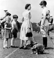 Pups for Polo @ the Royal Salute Coronation Cup