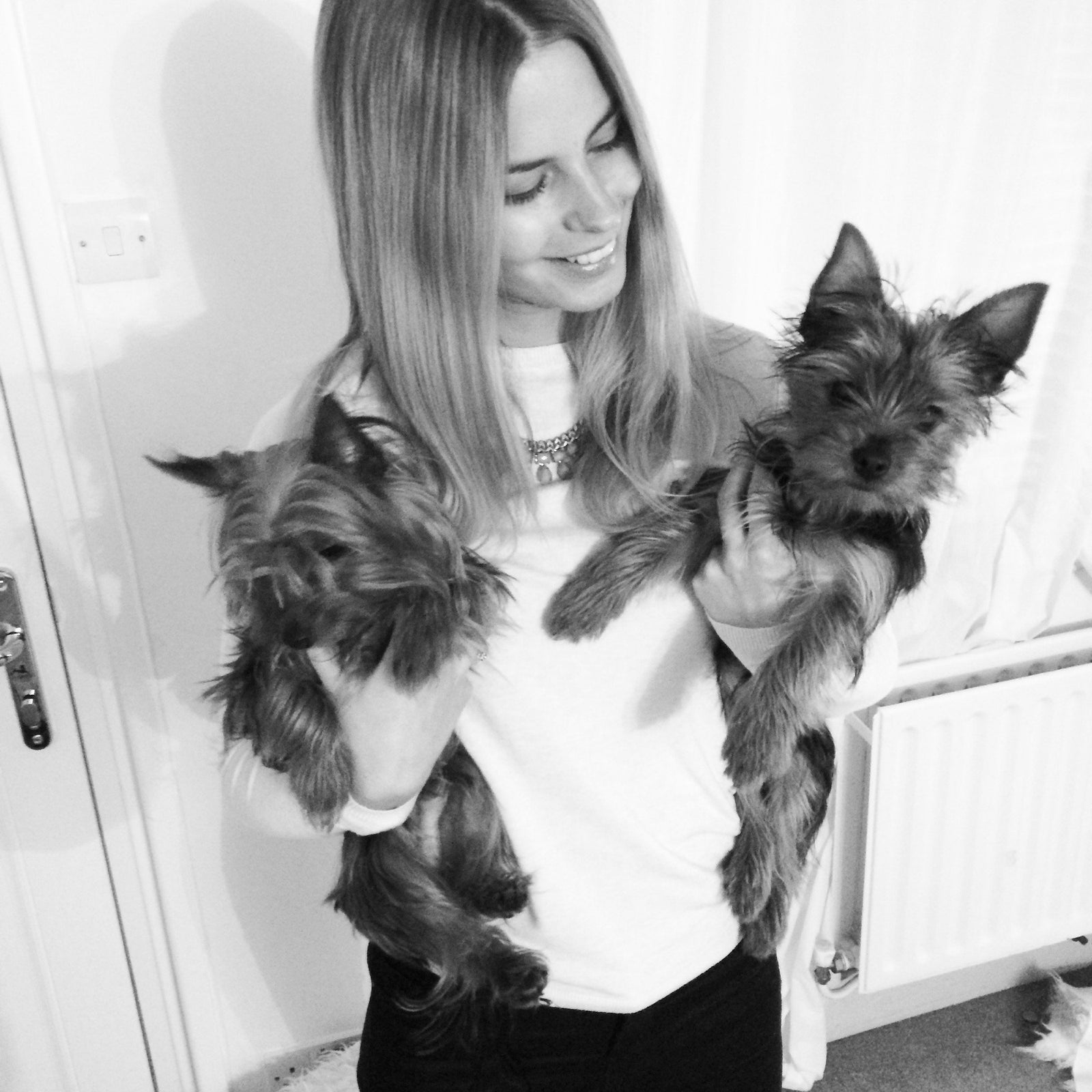 Meet Izzy & Her Yorkies