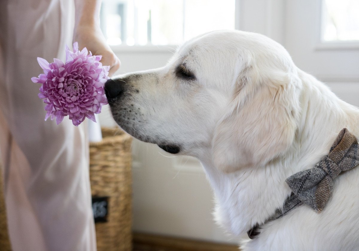 Behind the Scenes in Seattle!