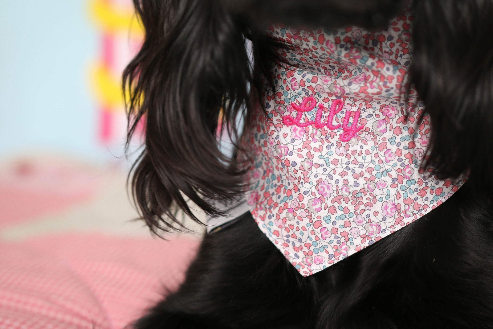 Teddy Maximus Launches Personalisation Service