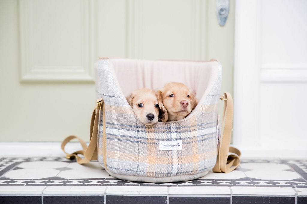 How To Choose the Perfect Dog Carrier for Your Puppy