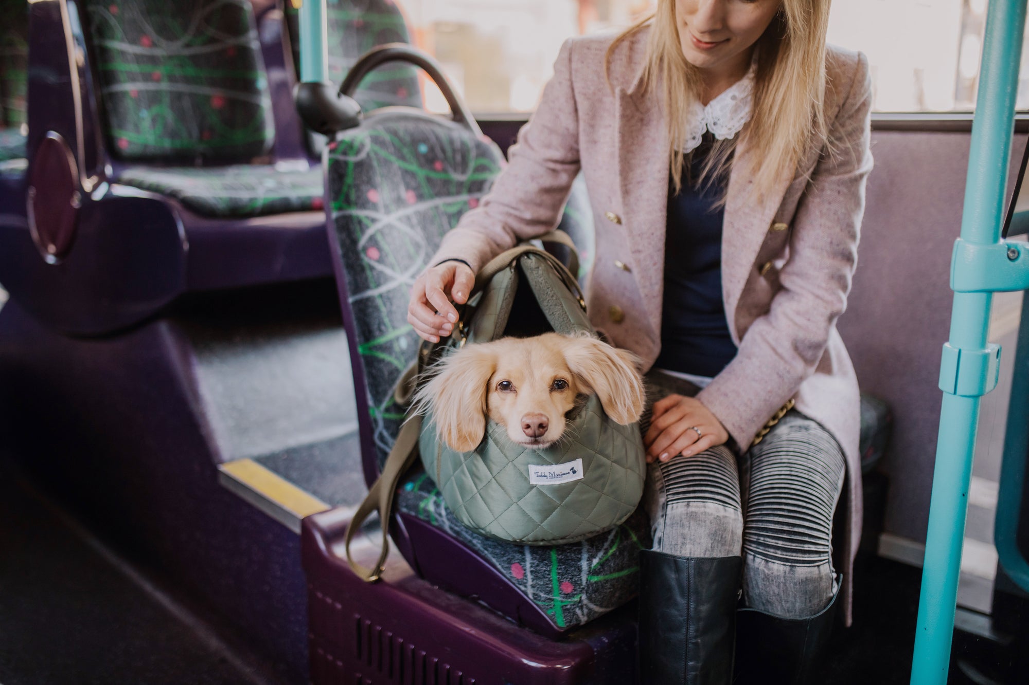 Dog Carrier Bags for Senior Dogs: Comfort and Safety