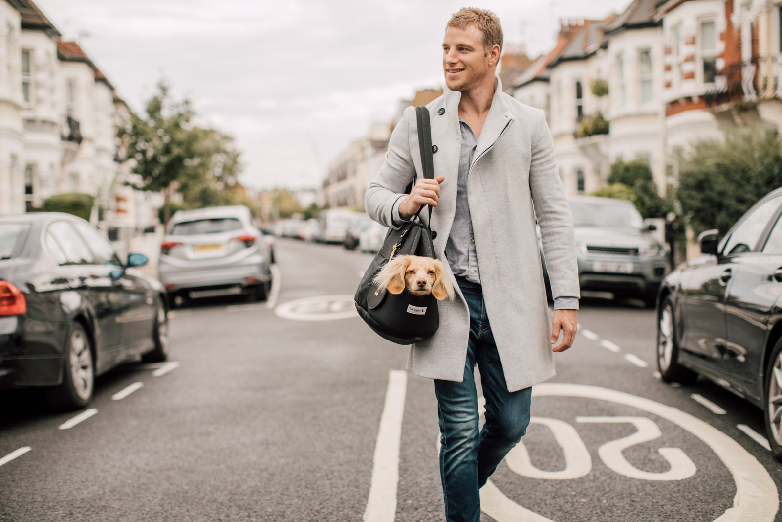 The Perfect Dog Carrier for an adventure!