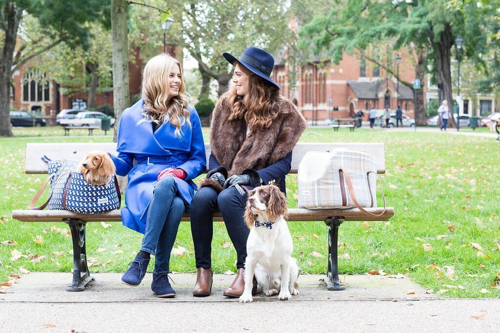 Read the Top Reasons for Choosing a Dog Carrier ...with Help from Teddy