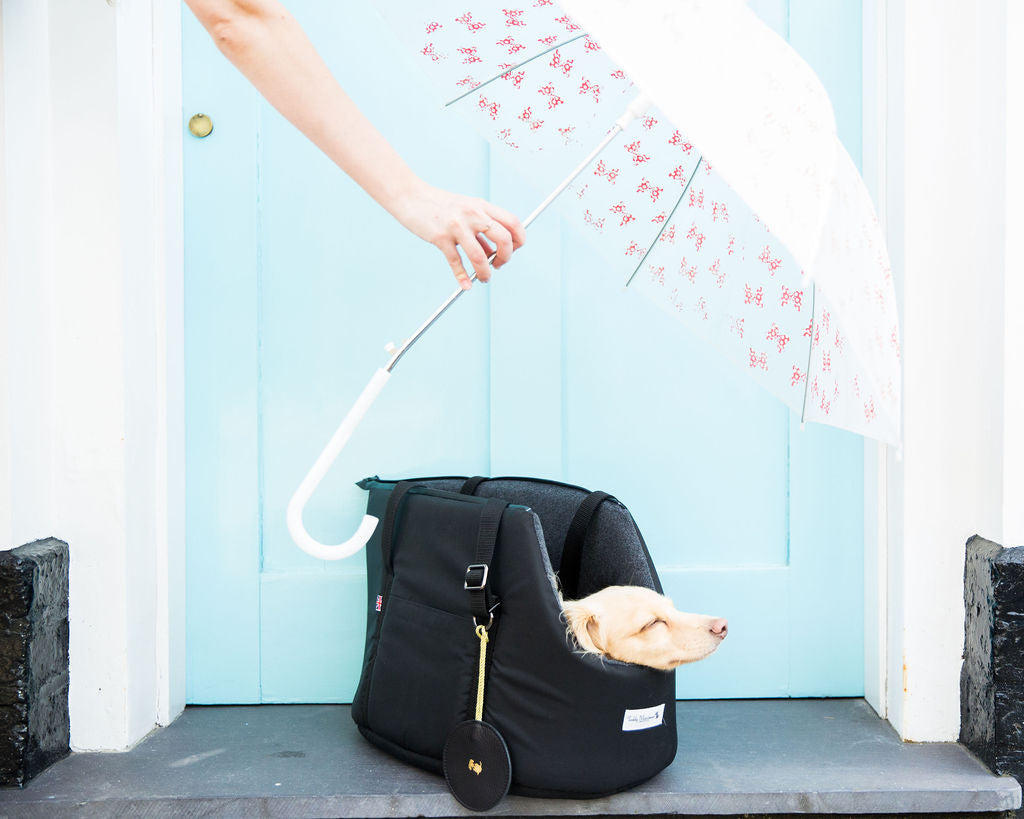 The Best Waterproof Dog Carriers for Every Adventure