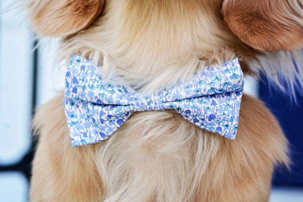 Liberty Print Dog Accessories by Teddy Maximus