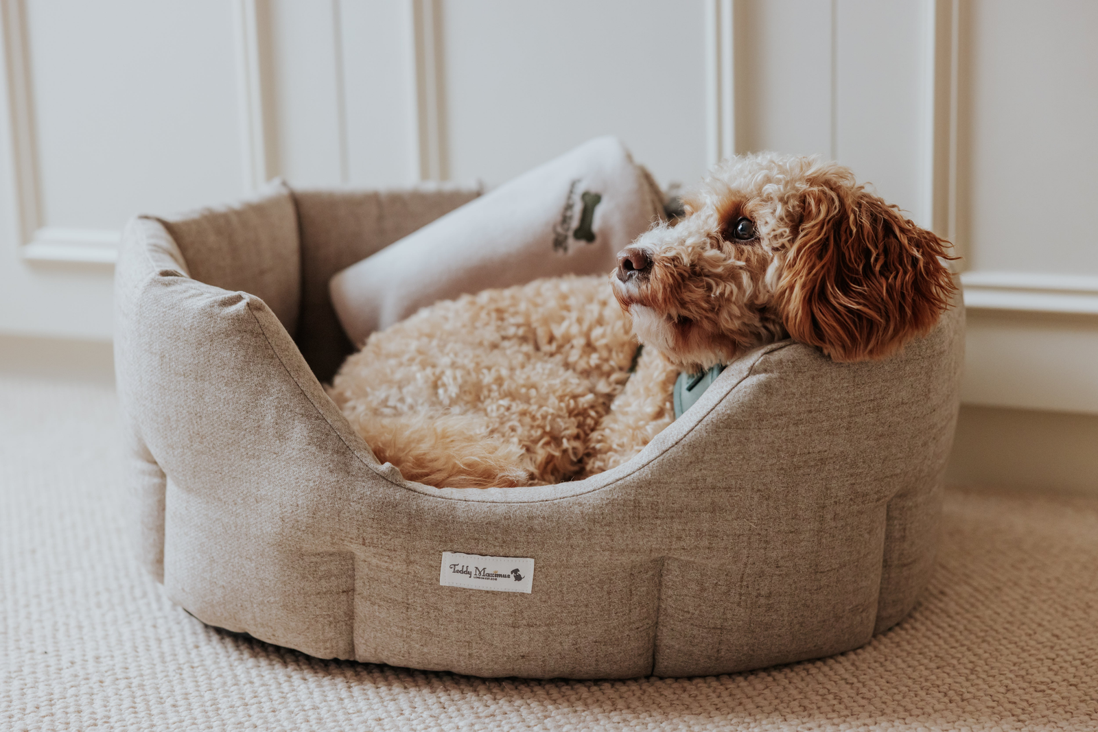 Chic neutral dog beds, carriers and accessories for stylish homes by Teddy Maximus