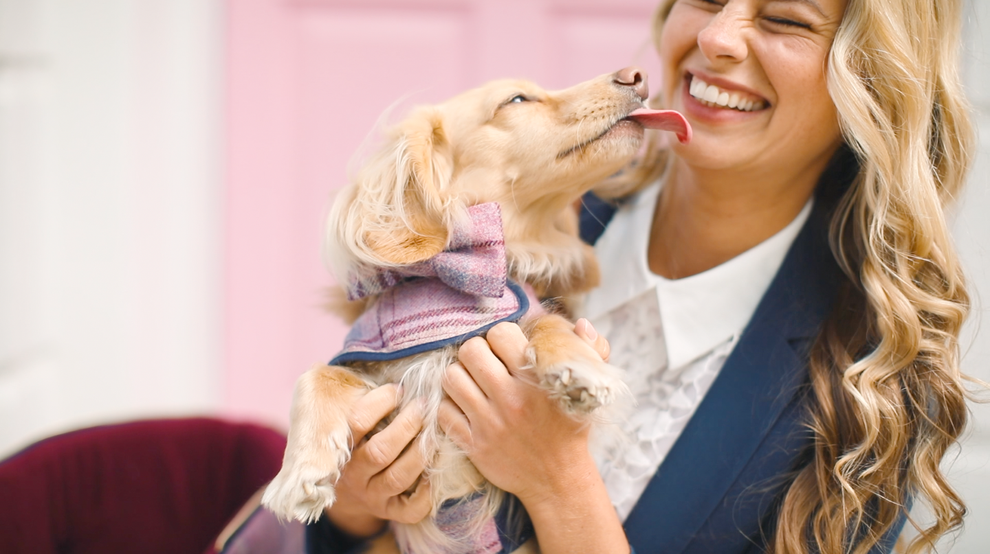 Luxury Pink Shetland Collection for your dog by Teddy Maximus