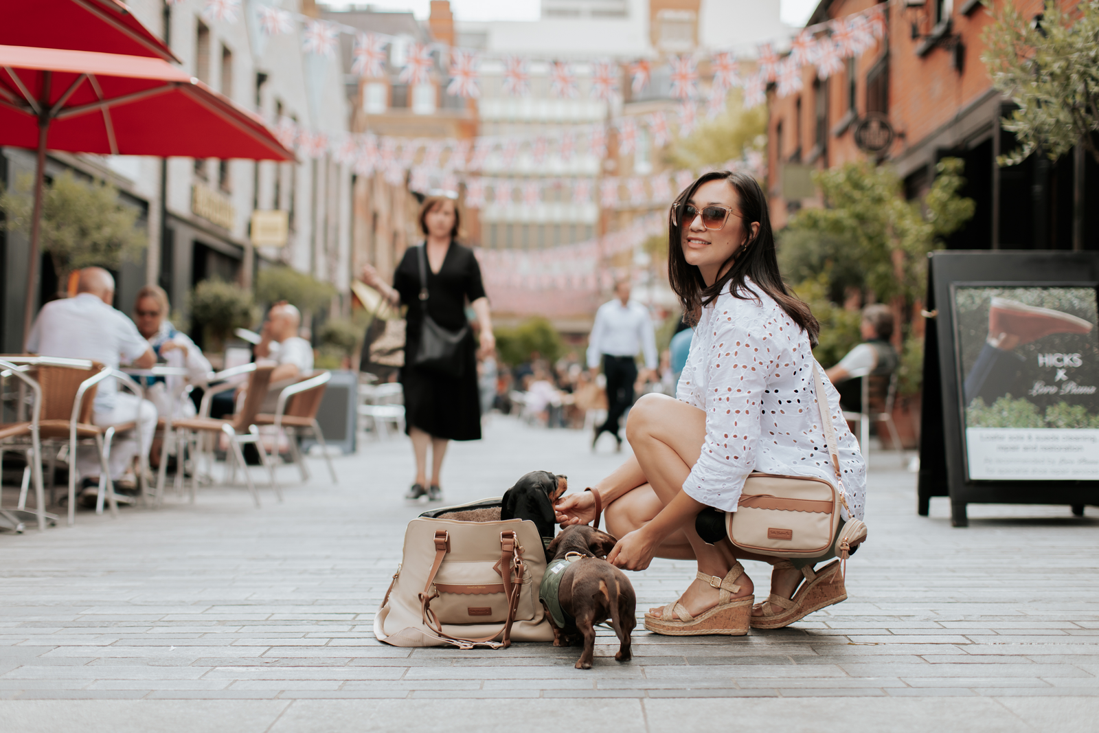 taupe and tan dog carrier and dog walking bag