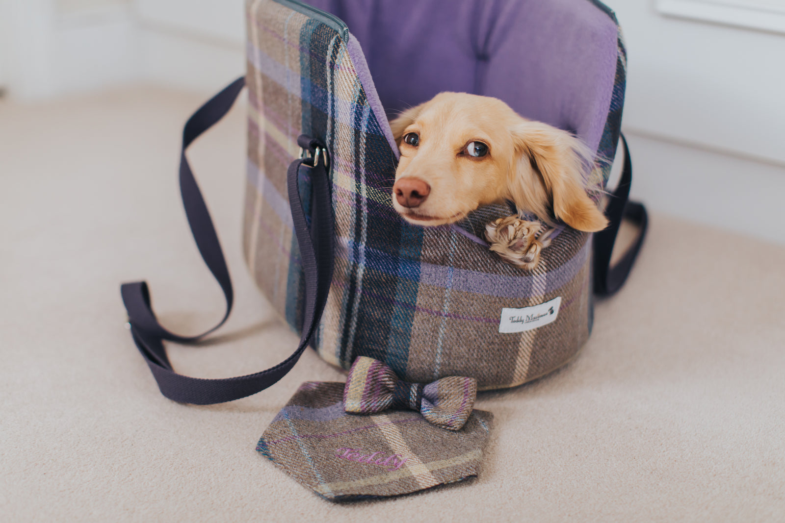 The Cambridge Collection