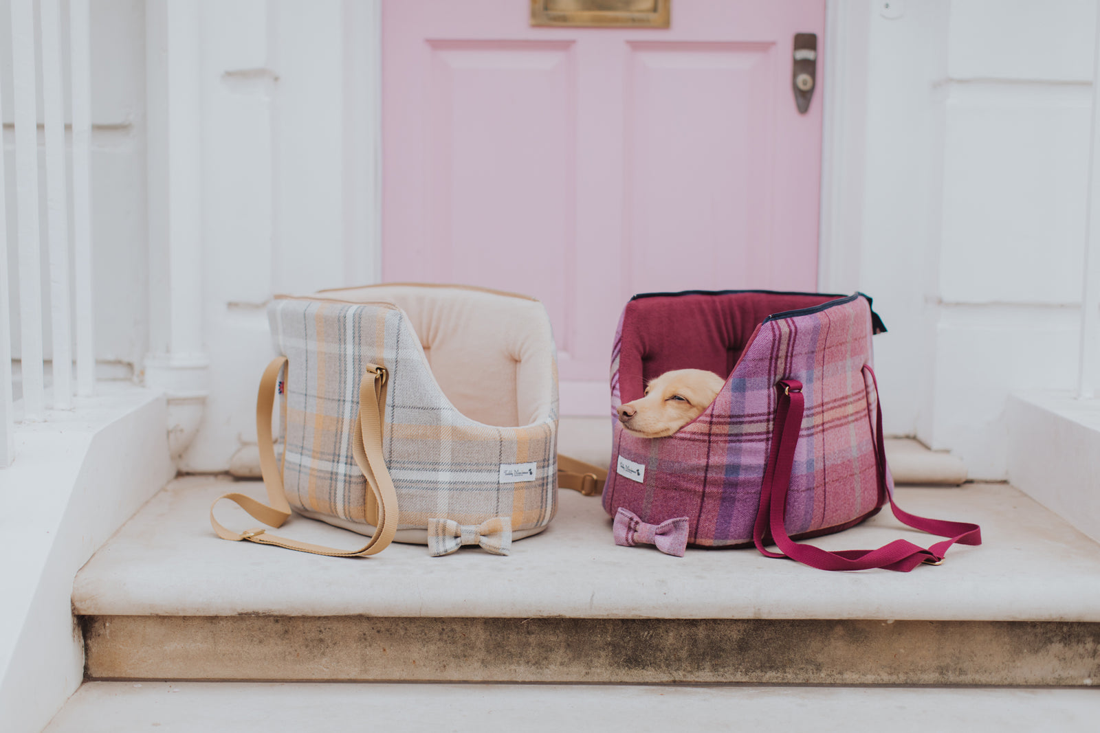 Pink Shetland Wool Collection for super chic dogs and fashionable dog mums