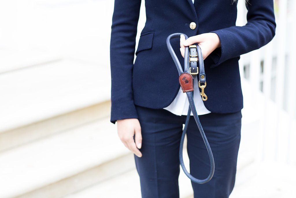 Luxury Dog Leads & Dog Collars - stylish and sophisticated. Leather and webbing leads & collars by Teddy Maximus