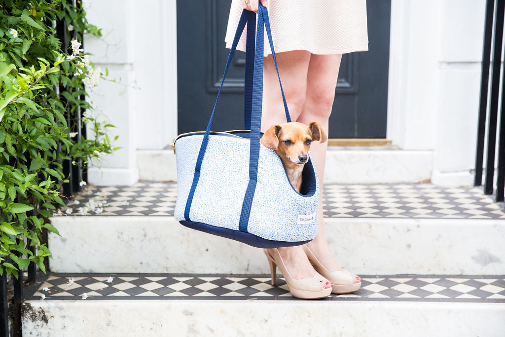 Fashionable lady toting a dog in a trendy blue carrier.