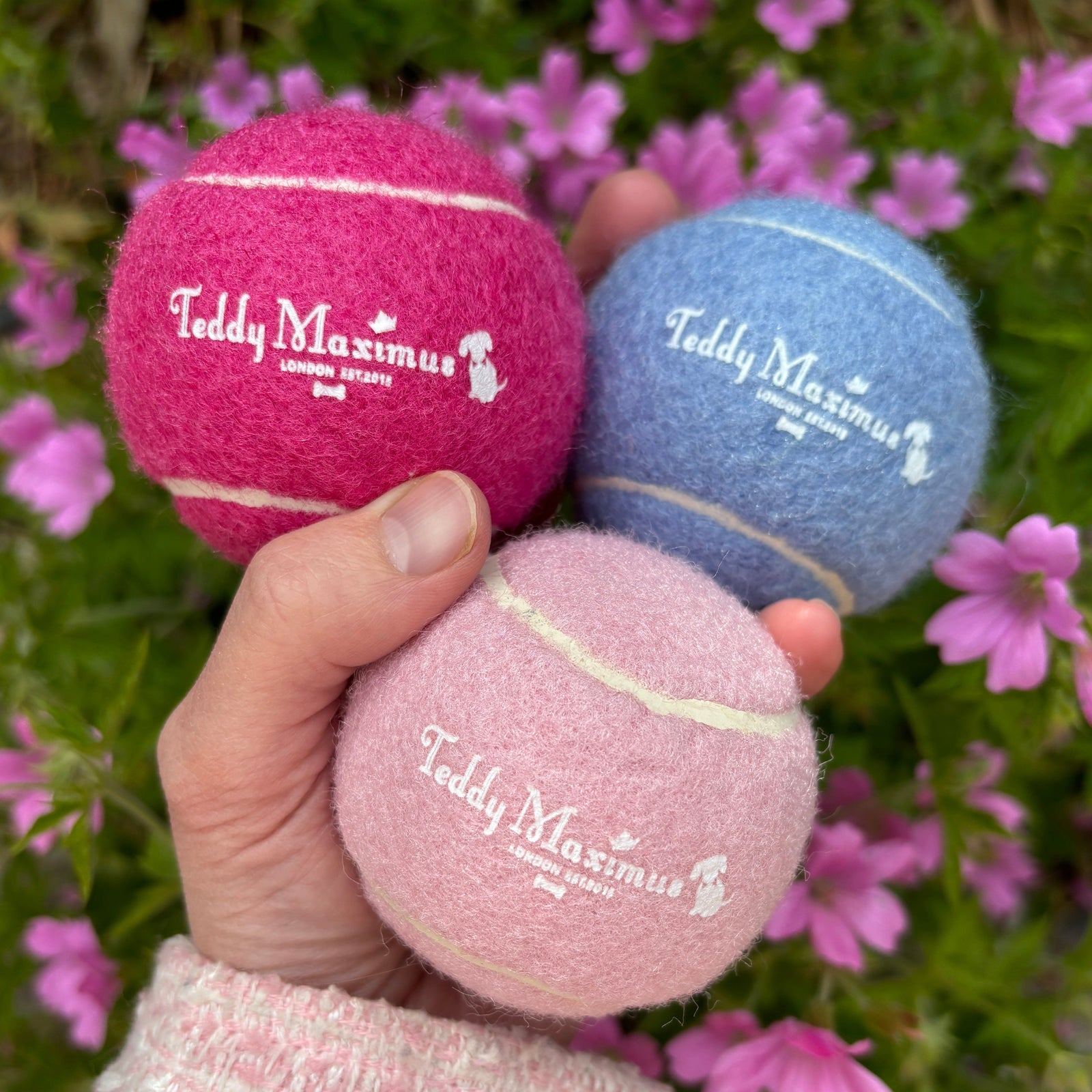 Bouncy Blue Dog Ball Toy by Teddy Maximus