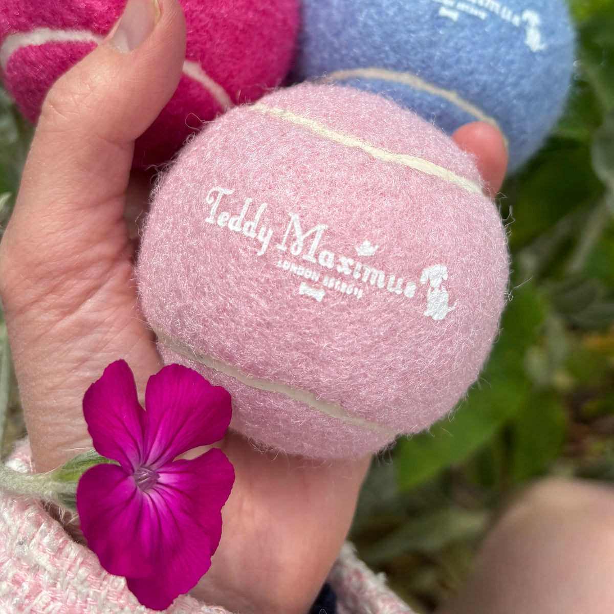 Pawfect Pink Dog Ball Toy by Teddy Maximus