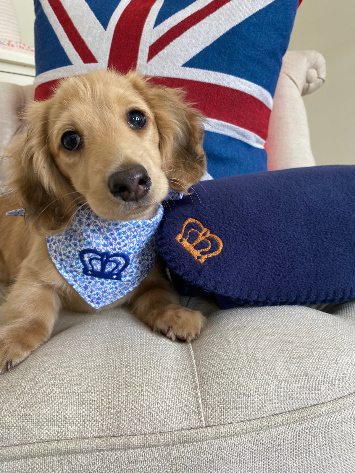 Cosy Coronation Dog Blankets