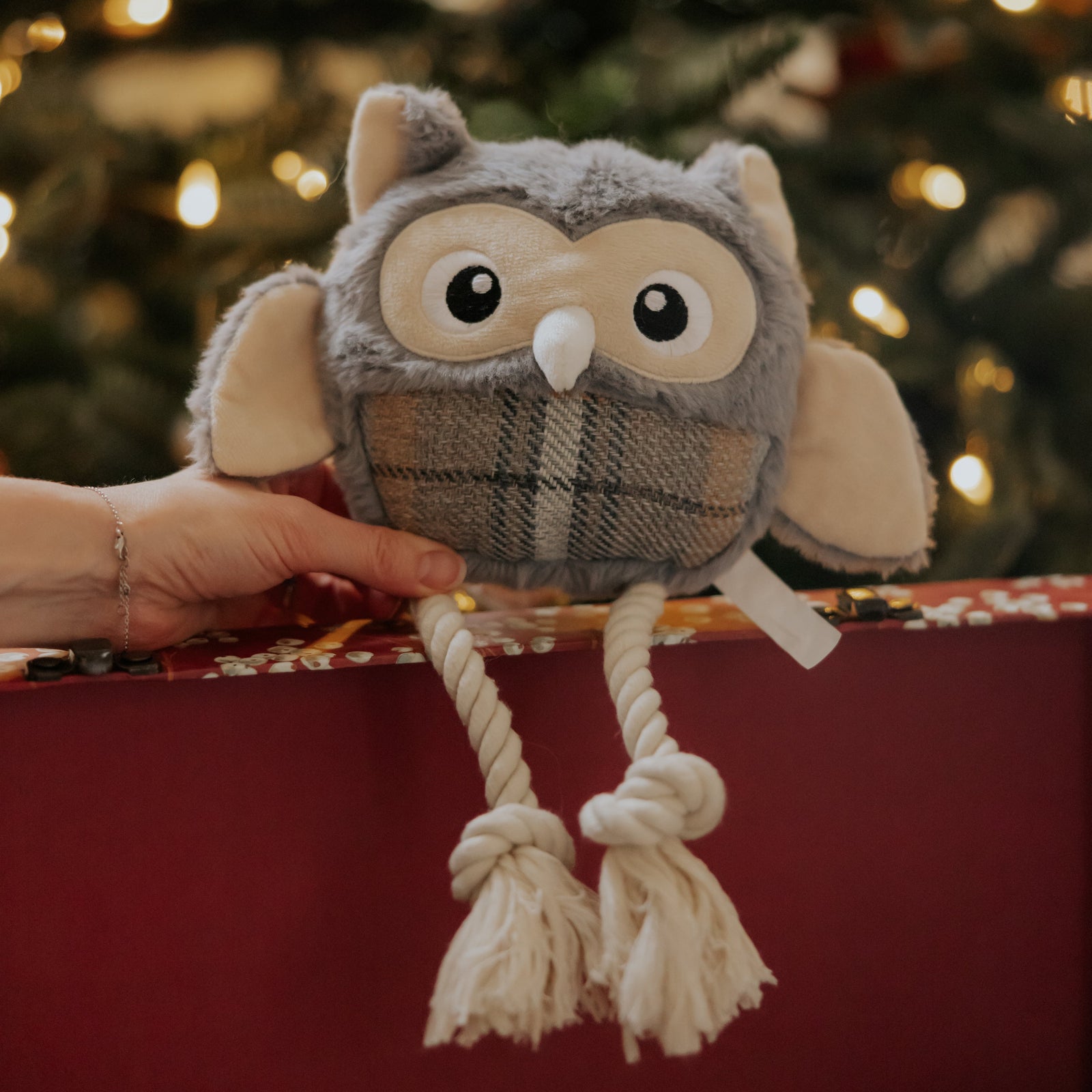 Oakley The Owl Rope Dog Toy