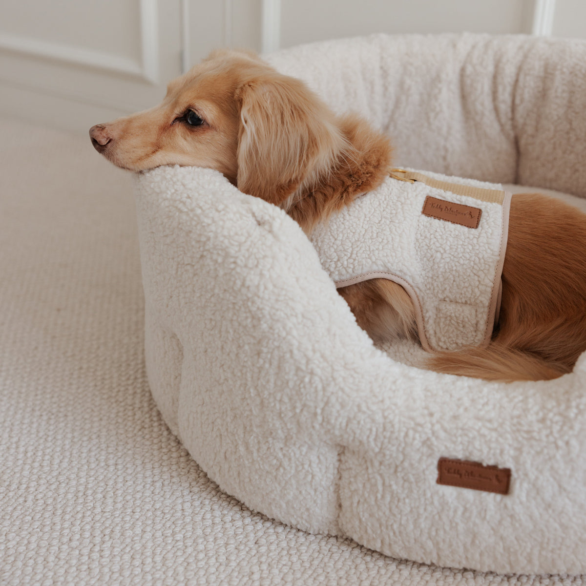 The Teddy Café Cream Sherpa Nest Bed