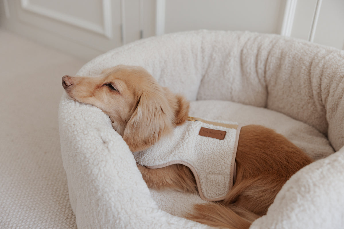 The Teddy Café Cream Sherpa Nest Bed