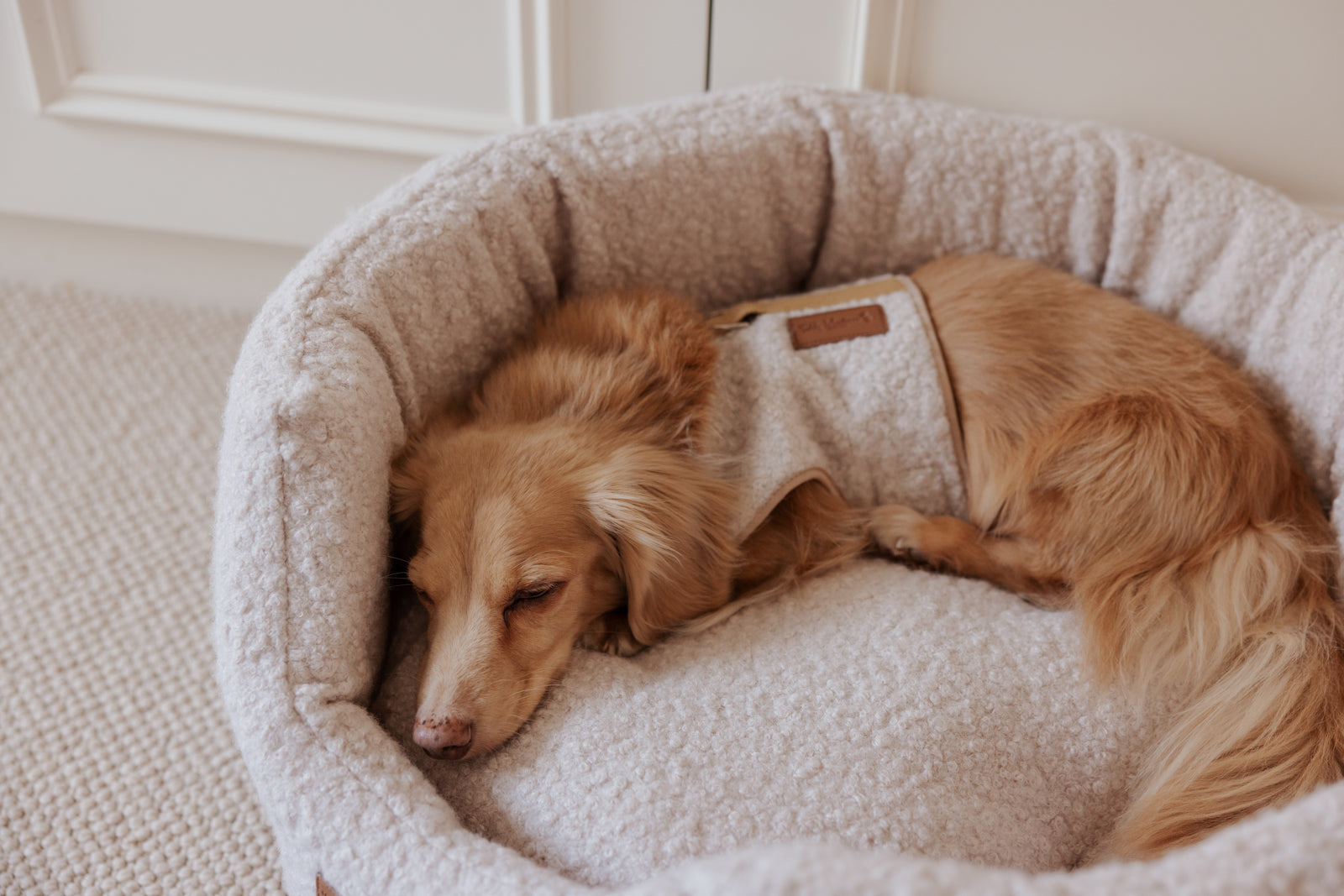 The Teddy Vanilla Latte Bouclé Nest Dog Bed