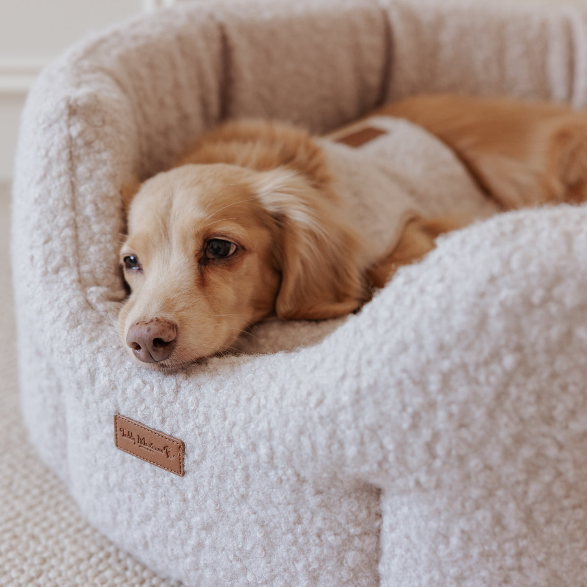 The Teddy Vanilla Latte Bouclé Nest Dog Bed