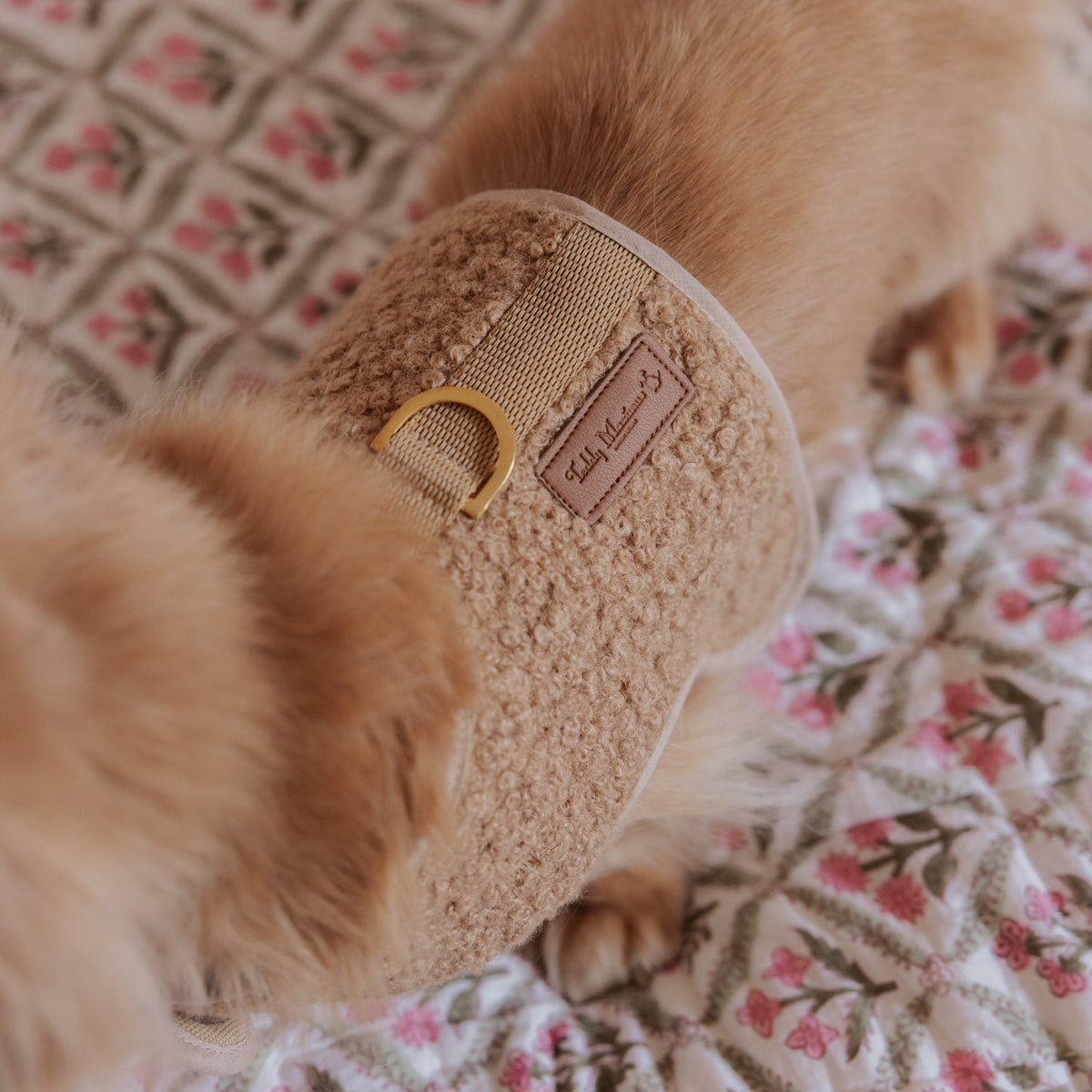 The Teddy Cappuccino Bouclé Luxury Dog Harness