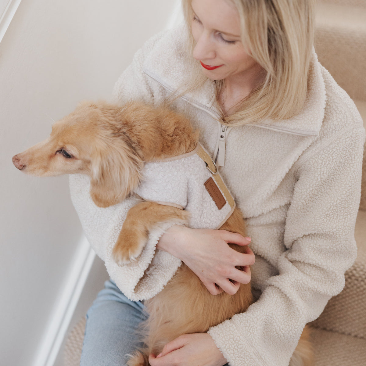 The Teddy Vanilla Latte Bouclé Luxury Dog Harness