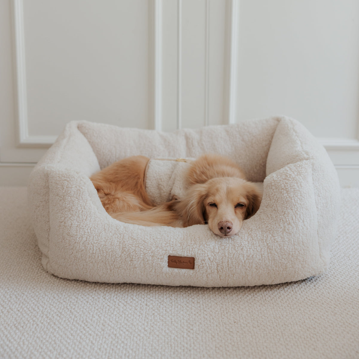 The Teddy Café Cream Sherpa Rectangle Dog Bed