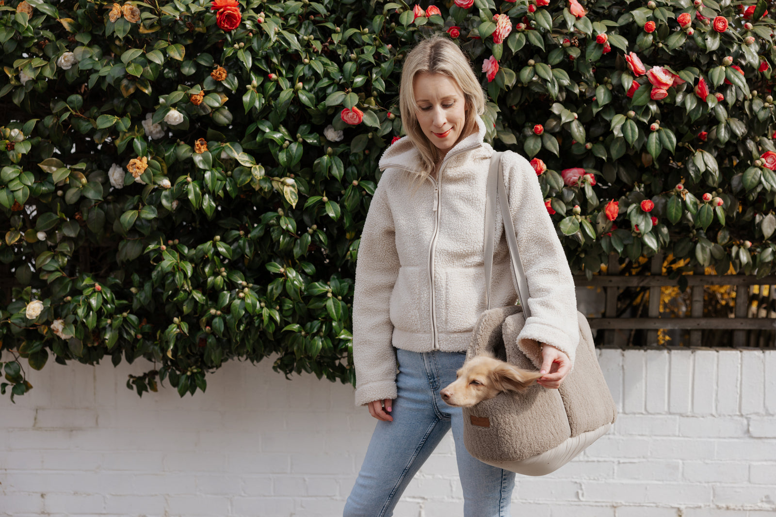 The Teddy Café Latte Sherpa Dog Carrier