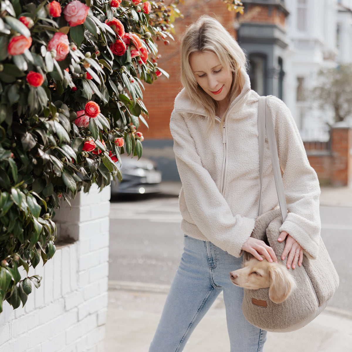 The Teddy Café Latte Sherpa Dog Carrier