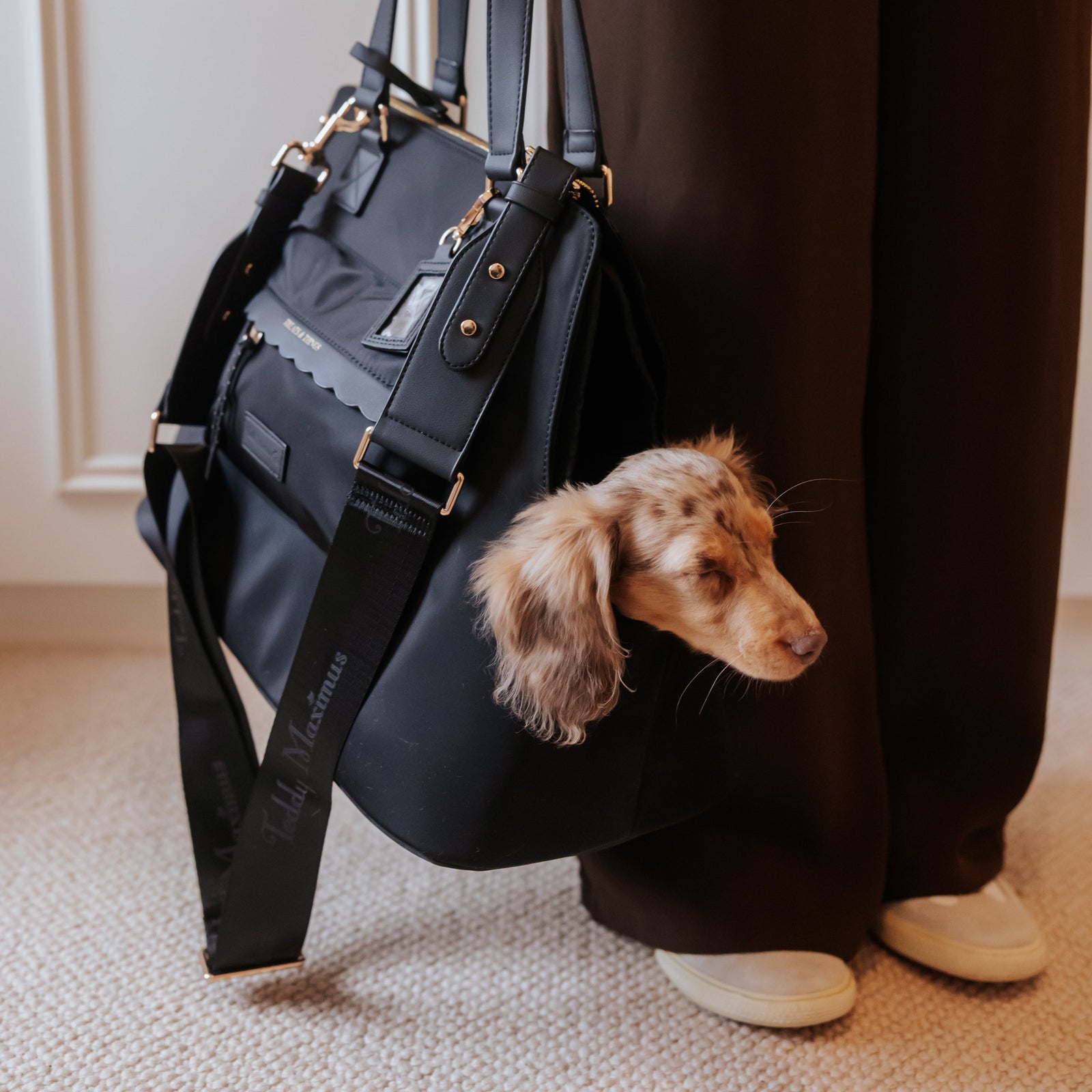 Dog peeking out from a black Teddy Maximus bag held by a person wearing dark pants and white shoes.