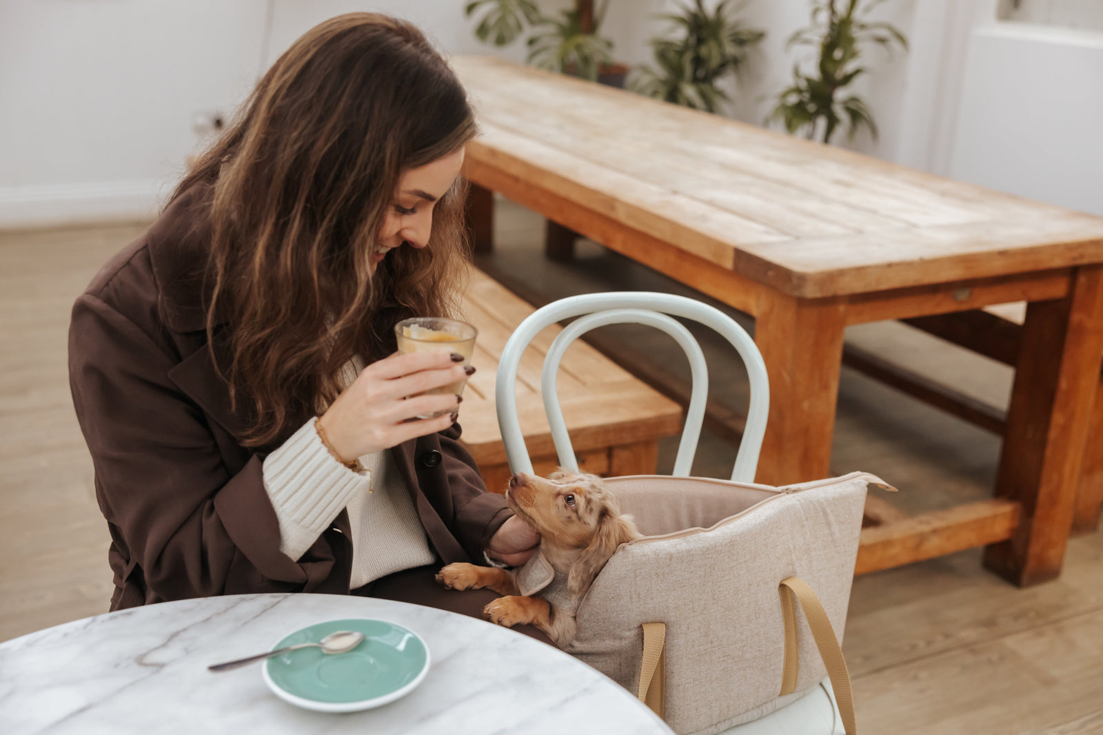 Woman sitting at a table with a small dachshund in a Teddy Maximus bag, holding an iced coffee.