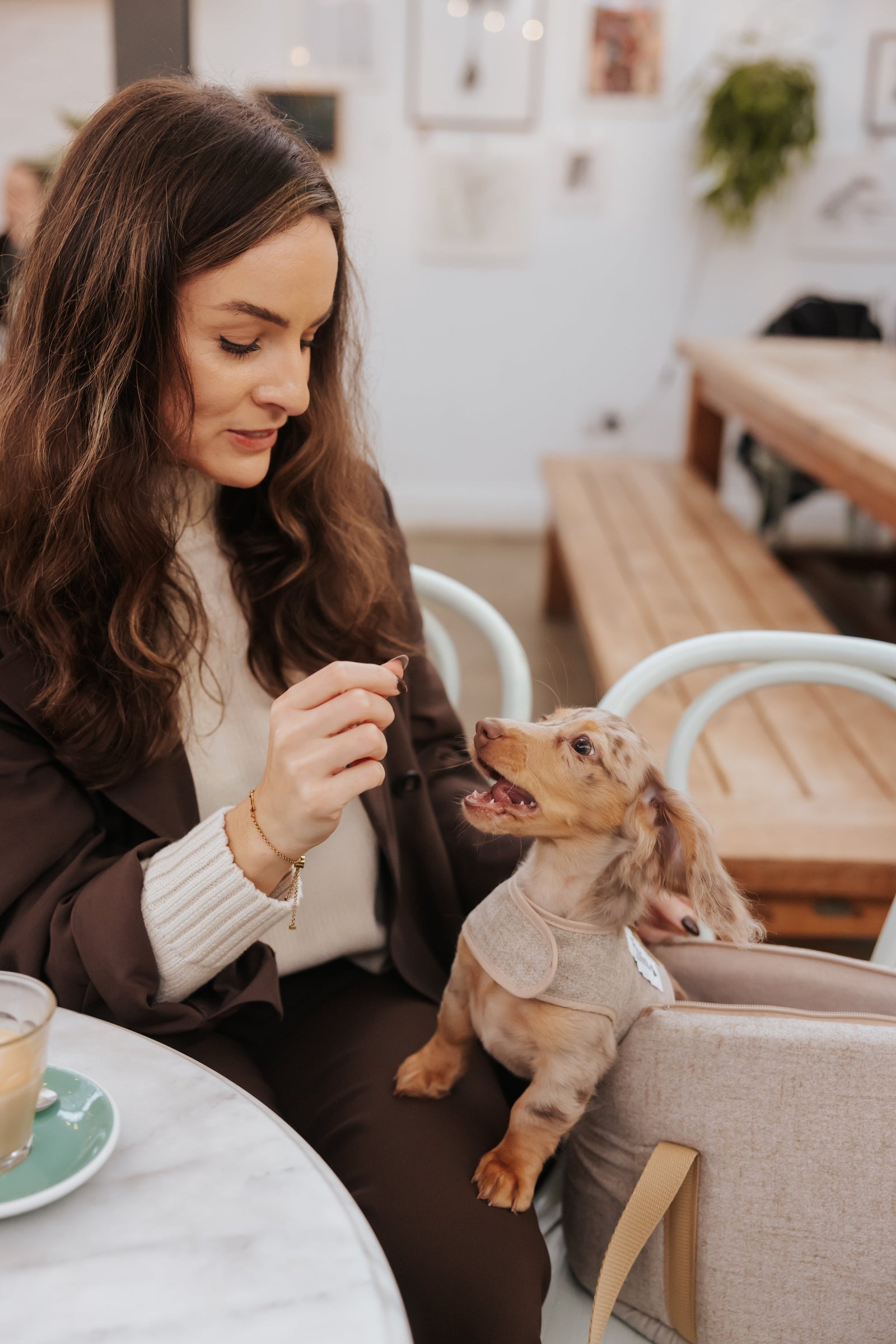 Woman sitting at a table with a small dog sat inside a Teddy Maximus carrier, both looking at a treat.