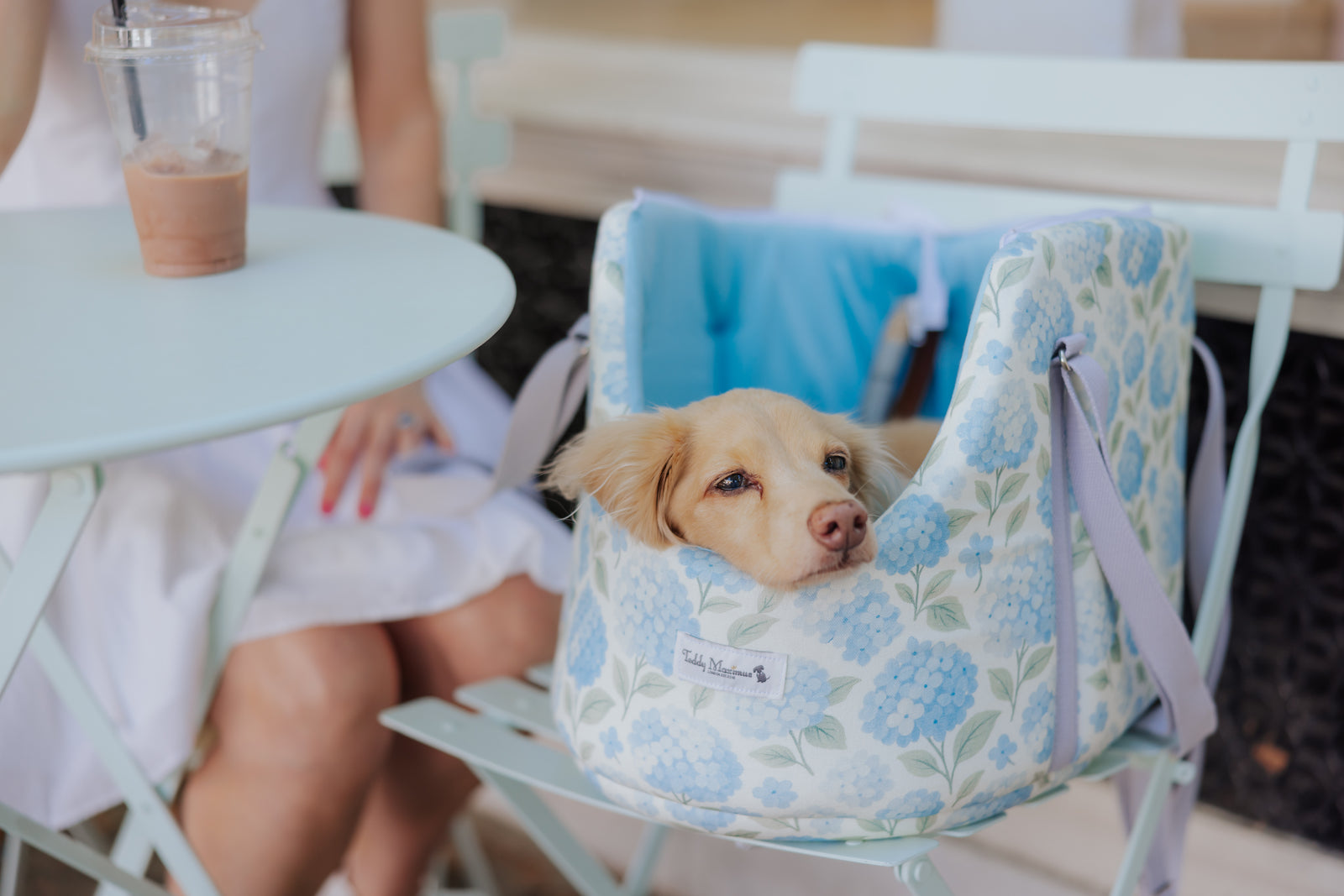 Hydrangea Print Summer Dog Carrier by Teddy Maximus