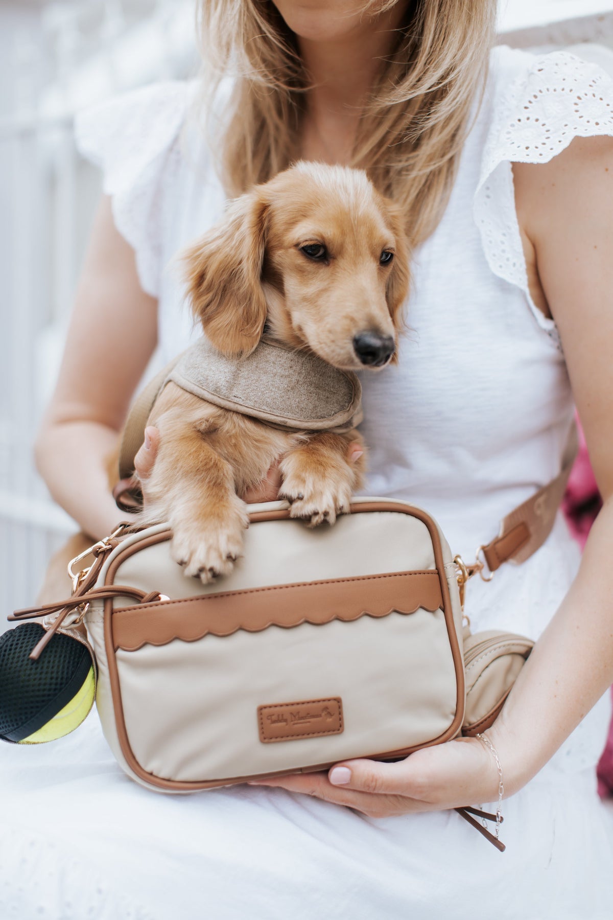 NEW! &#39;The Richmond&#39; Luxury Dog Walking Bag