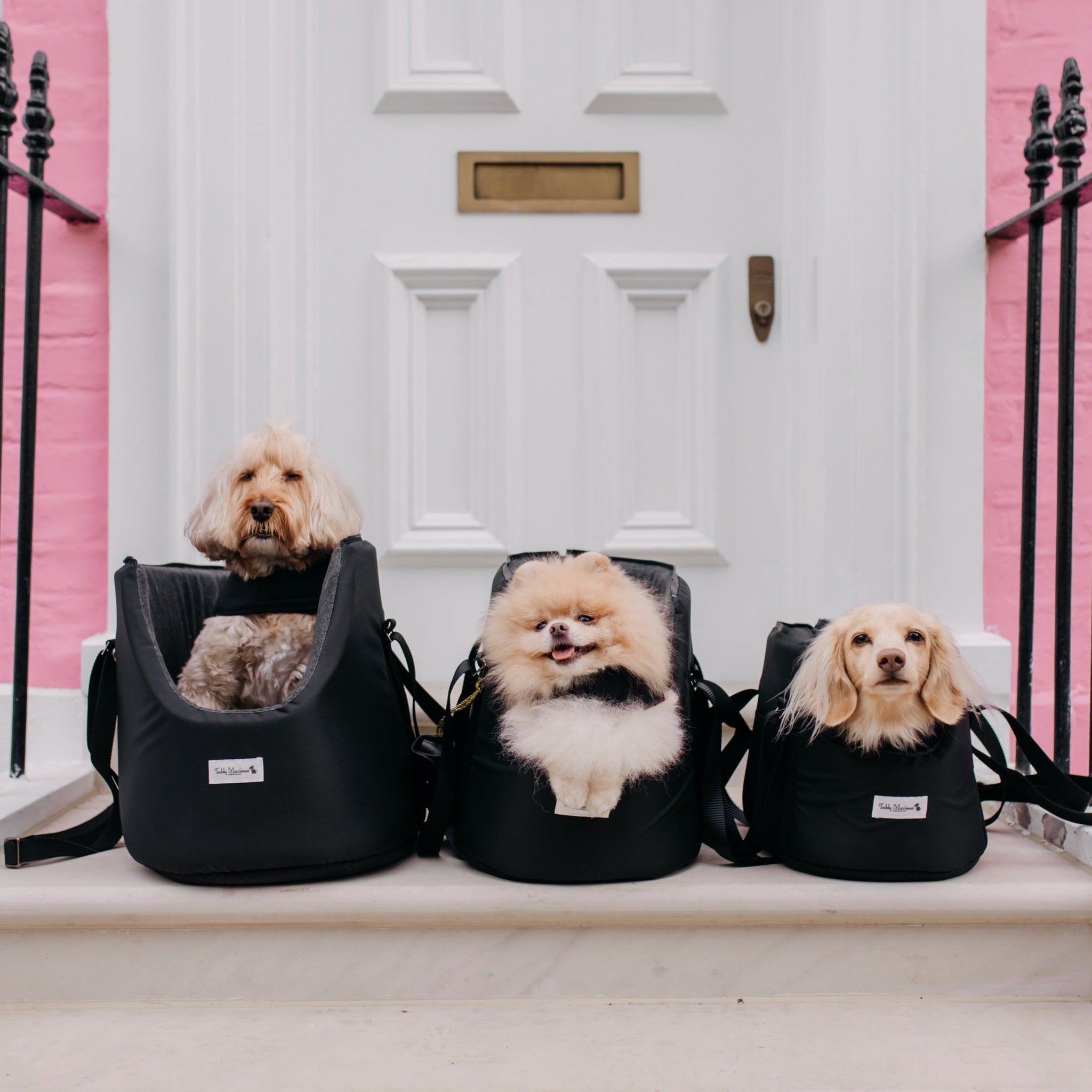The Adventurer Waterproof Adjustable Luxury Dog Carrier Teddy Maximus the-adventurer-waterproof-adjustable-luxury-dog-carrier-teddy-maximus