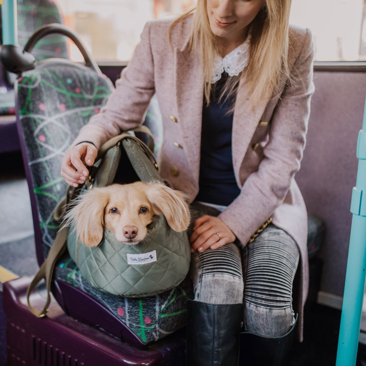 &#39;The Explorer&#39; Quilted Comfort Luxury Dog Carrier