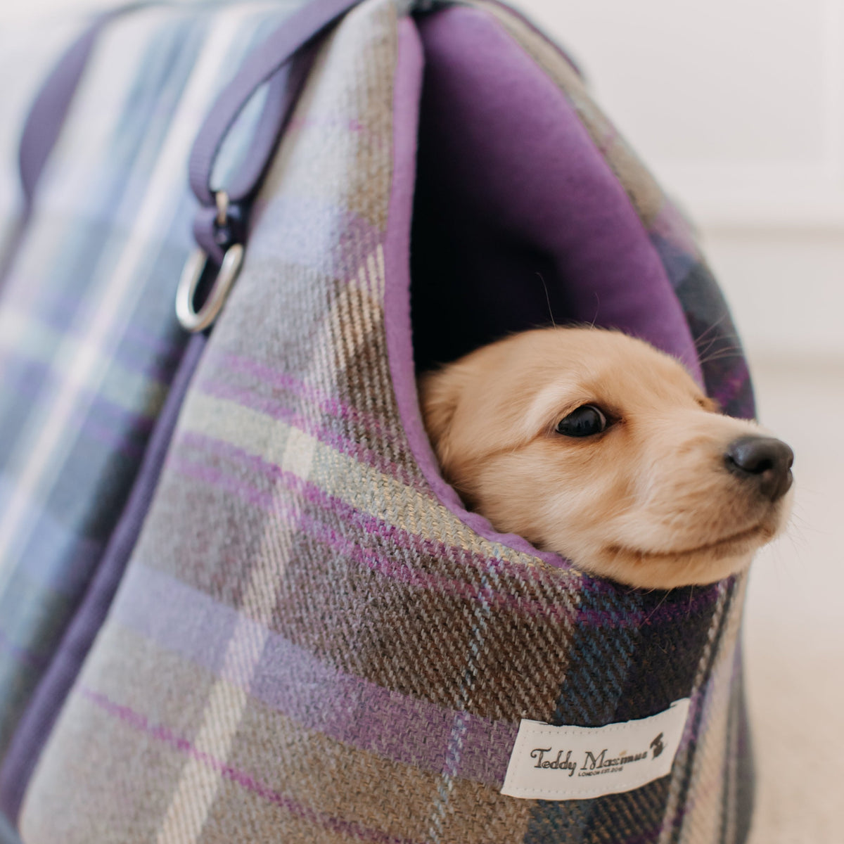 The Cambridge Adjustable Purple Taupe Soft Sided Luxury Dog Carrier